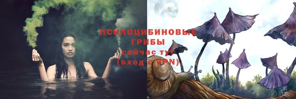 твердый Магадан