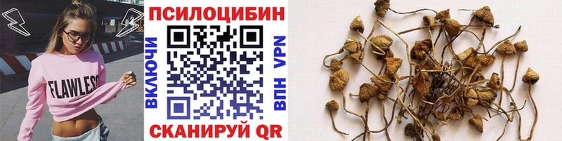 Купить закладки  Изобильный  Псилоцибиновые грибы Psilocybine cubensis 